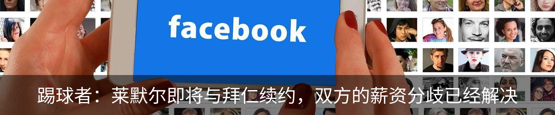 新闻动态